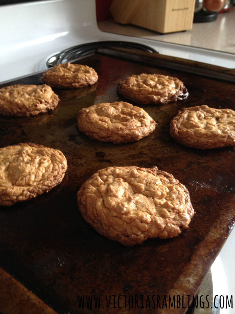 crazy easy peanut butter cookies 7