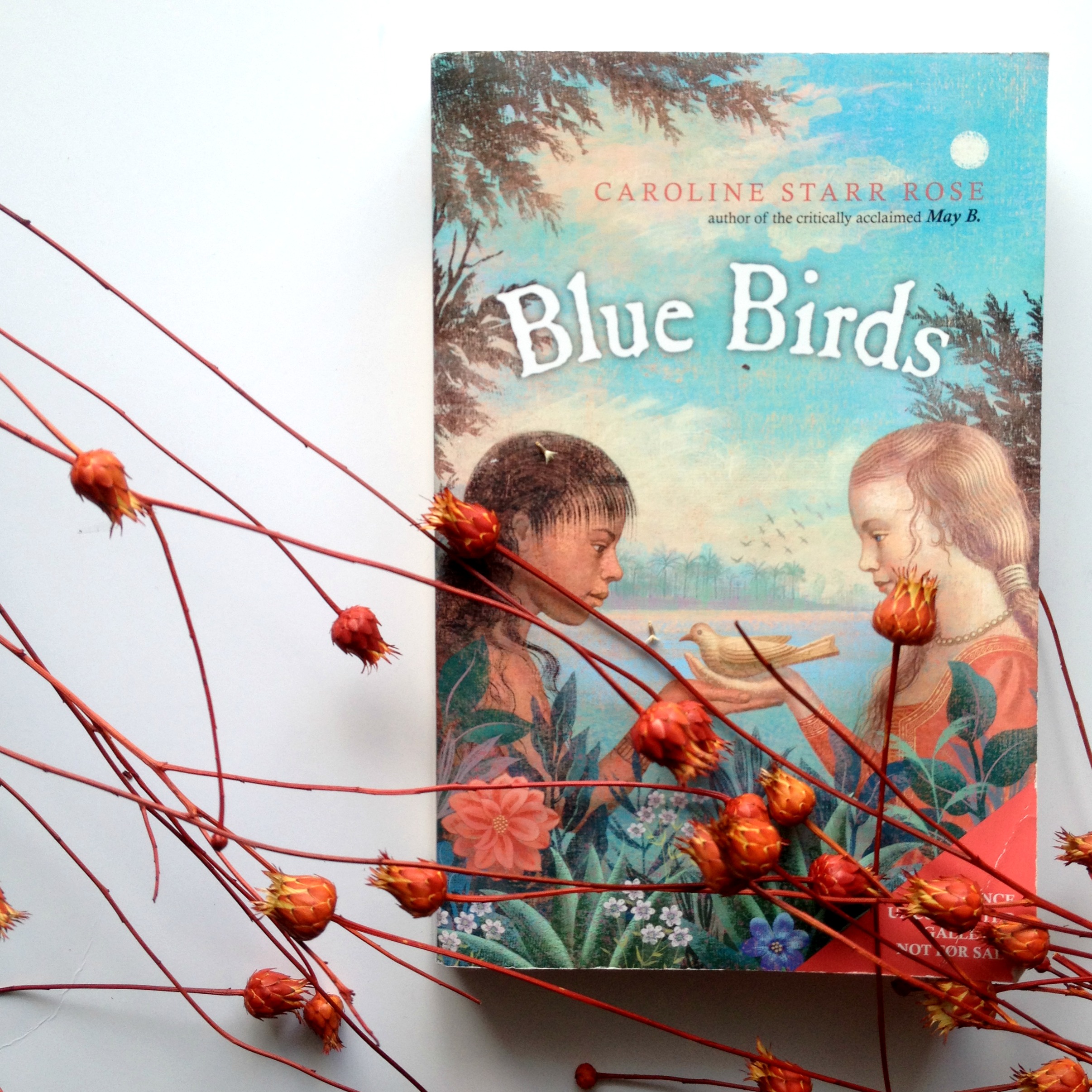 Blue Birds by Caroline Starr Rose